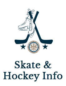 Learn to Skate & Play Logo 