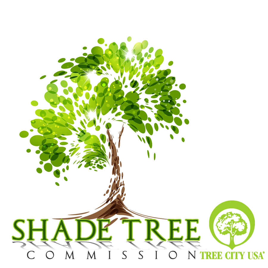 Shade Tree Logo